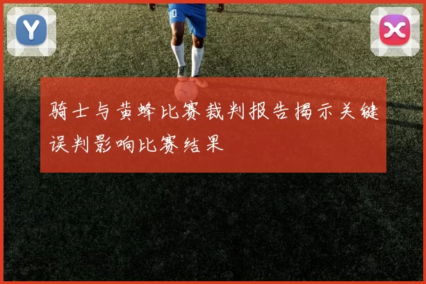 骑士与黄蜂比赛裁判报告揭示关键误判影响比赛结果