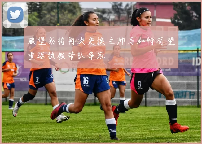 狼堡或将再次更换主帅马加特有望重返执教带队争冠